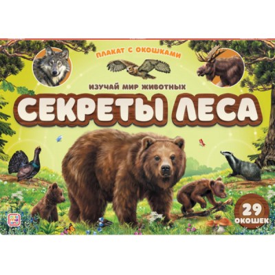 Плакат с окошками. Секреты леса
