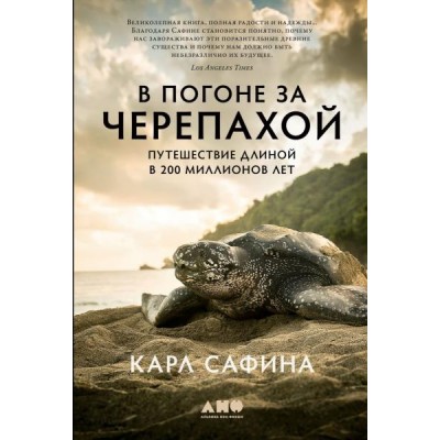 В погоне за черепахой: Путешествие длиной в 200 миллионов лет