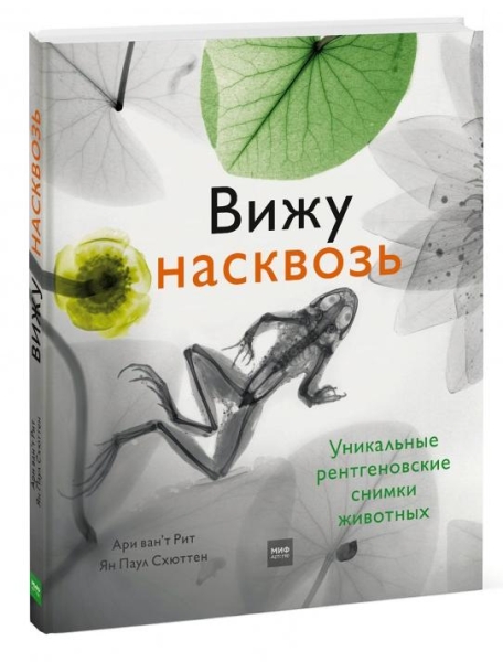 Вижу насквозь. Удивительные рентгеновские снимки животных