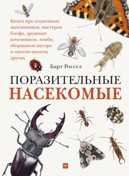Поразительные насекомые. Книга про подземных математиков