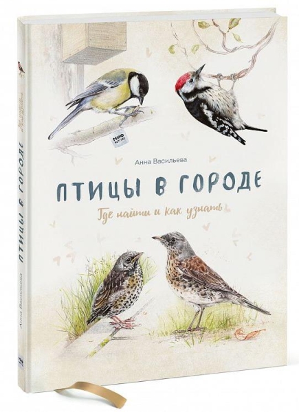 Птицы в городе. Где найти и как узнать