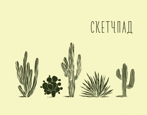 Кактусы. Скетчпад