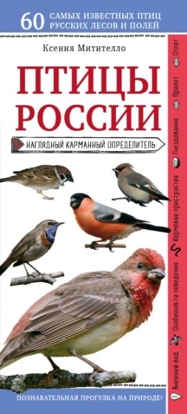 Птицы России. Наглядный карманный определитель