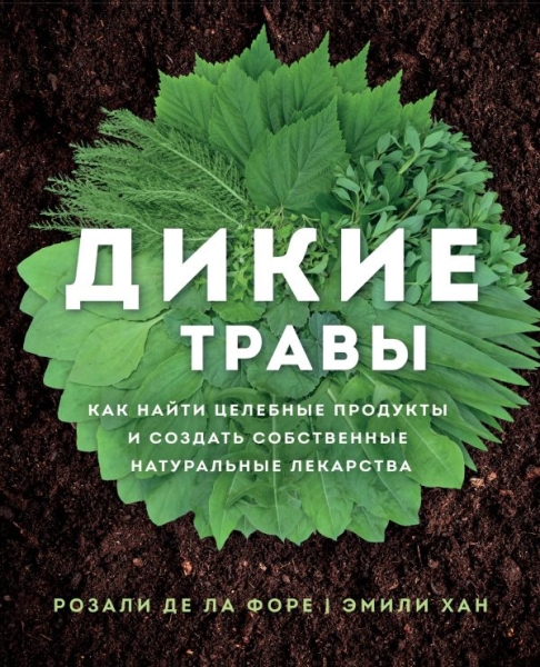 Дикие травы: как найти целебные продукты и создать соб. натур. лек-ва