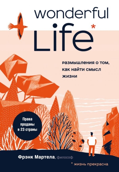 ПИПсих Wonderful Life. Размышления о том, как найти смысл жизни