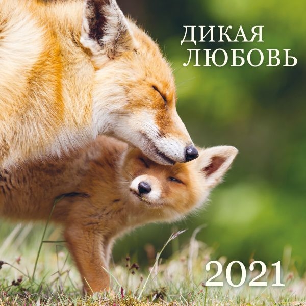 Дикая любовь. Календарь настенный на 2021 год