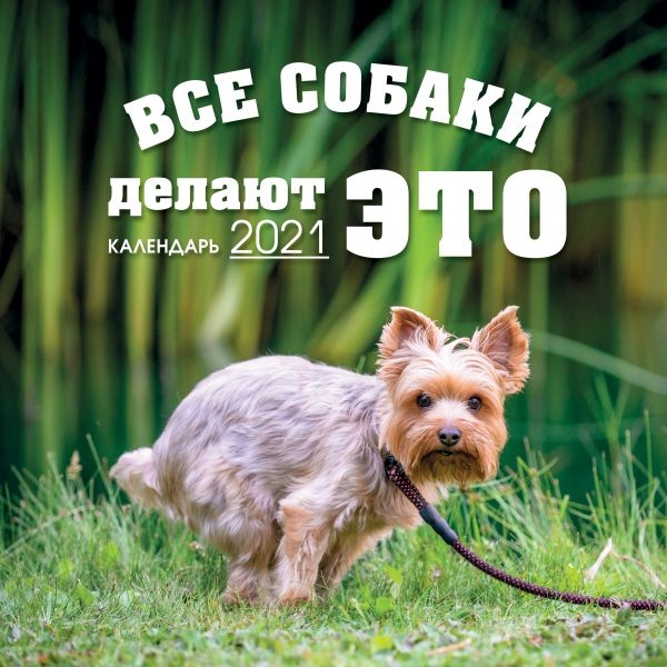 Все собаки делают ЭТО. Календарь настенный на 2021