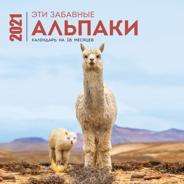 Эти забавные альпаки. Календарь настенный на 16 месяцев на 2021 год