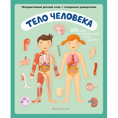 Тело человека. Интерактивный детский атлас с откидными разворотами