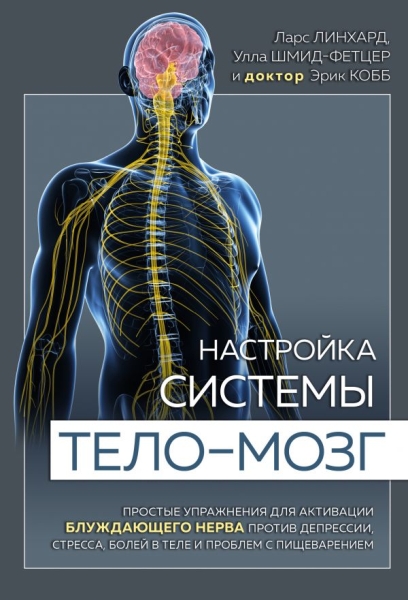 Настройка системы тело-мозг. Простые упражнения для активации