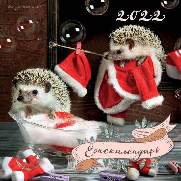 Ежекалендарь (Санта Клаус). Календарь настенный на 2022 год (170х170)