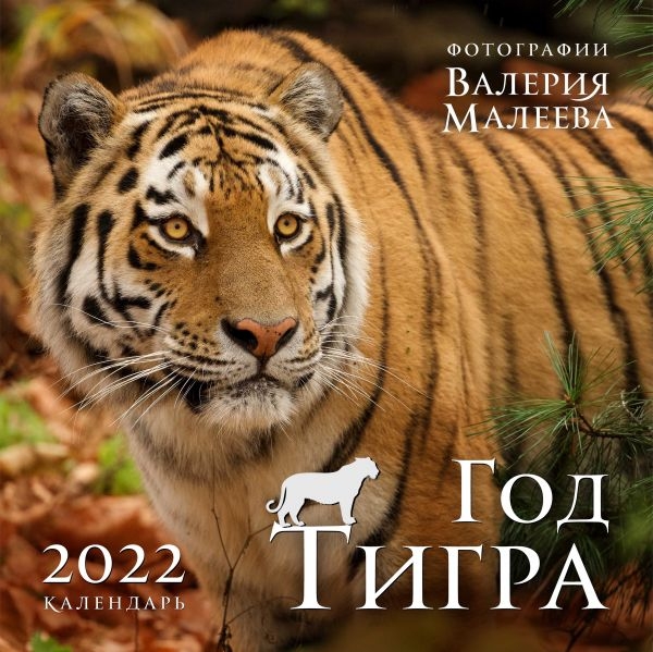 Год тигра. Фотографии Валерия Малеева. Календарь настенный на 2022 год