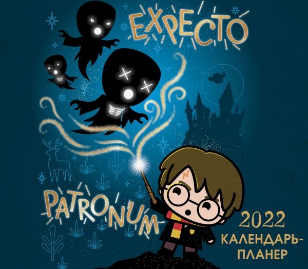 Гарри Поттер. Настенный календарь-планер на 2022 год (245х280)