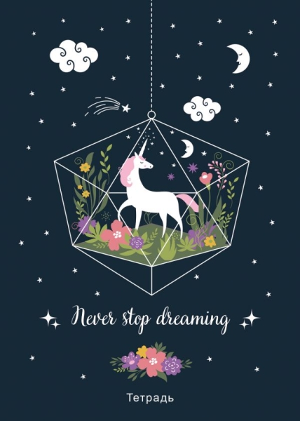 Тетрадь общая. Never stop dreaming!