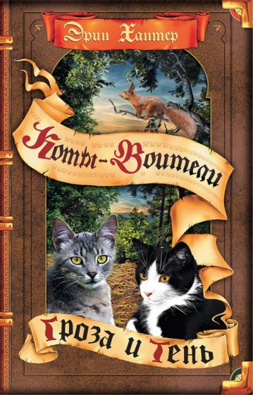 КотВоит Видение теней. Гроза и тень