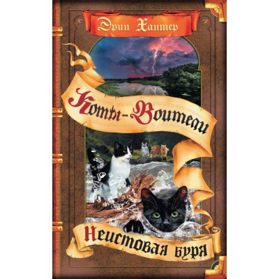 КотВоит Цикл Видение теней. Неистовая буря