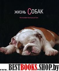 Жизнь собак: Фотоальбом