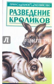 Разведение кроликов