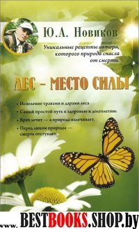 Лес-место силы