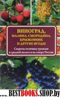 Виноград,малина,смородина,крыжовник и другие ягоды