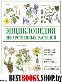 Энциклопедия лекарственных растений