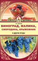 Виноград, малина, смородина, крыжовник и другие яг