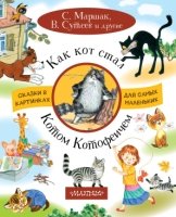 Как кот стал Котом-Котофеичем