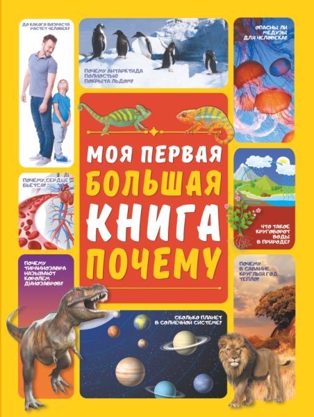 Моя первая большая книга Почему