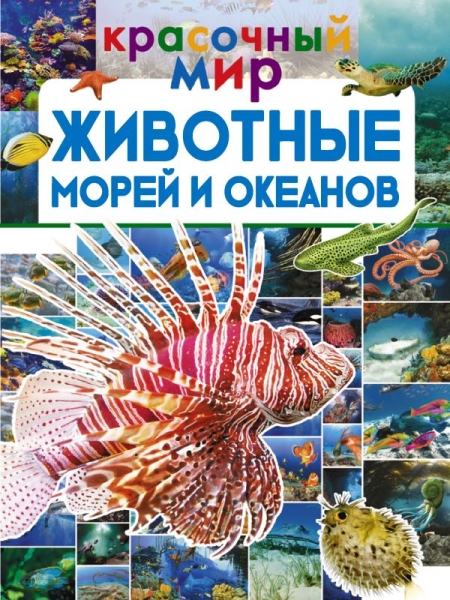 Красочный мир.Животные морей и океанов