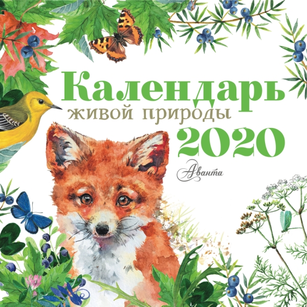 КалДет2020 Календарь живой природы 2020