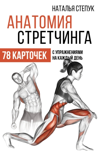 Анатомия стретчинга. 78 карточек с упражнениями