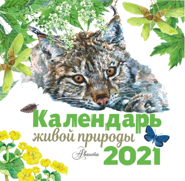 КаленДетский2021.Календарь живой природы