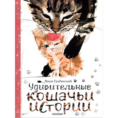 СМЛдД.Удивительные кошачьи истории