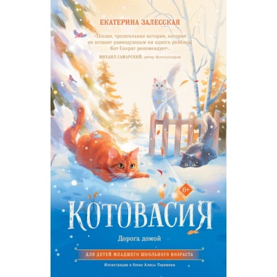Котовасия. Дорога домой
