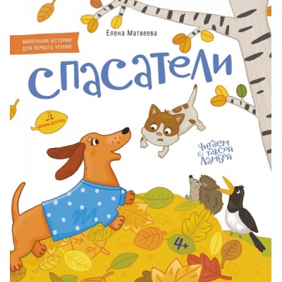 Необыкновенное обыкновенное чудо. О любви