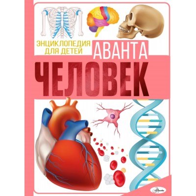 ЭнцДДетАв.Человек