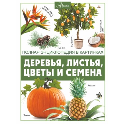 ПолнЭнц(в картинках).Деревья, листья, цветы и семена