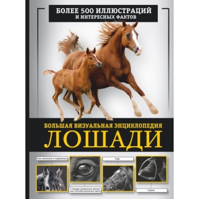 Лошади. Большая визуальная энциклопедия