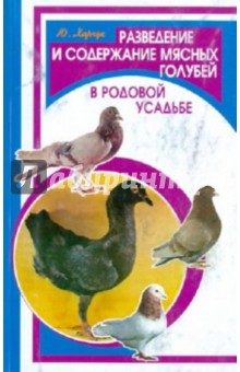 Разведение и содержание мясных голубей в род.усад.