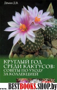 Круглый год среди кактусов:советы по уходу