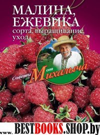 Малина, ежевика. Сорта, выращивание, уход