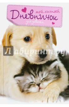 НДдД Кот и пес