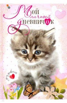НДдД Котенок с бантиком