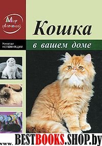 Кошка в вашем доме