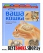 Ваша кошка