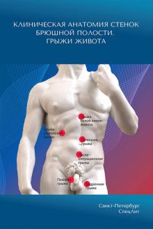 Клиническая анатомия стенок брюшной полости