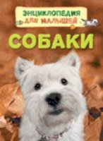 Собаки