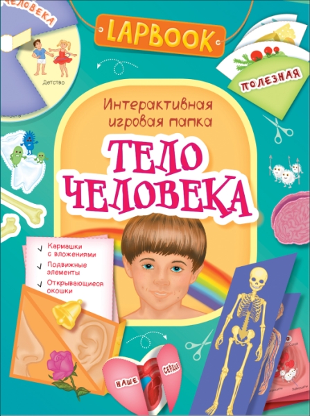 Lapbook. Тело человека. Интерактивная игровая папка