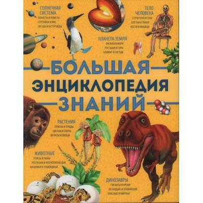 Большая энциклопедия знаний (желтая)