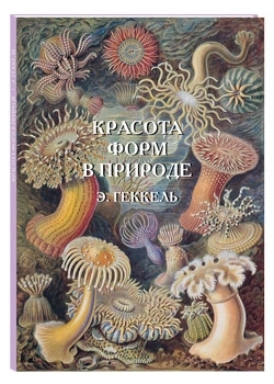 ВелПол(кожа) Красота форм в природе. Э. Геккель